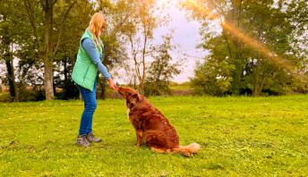 Hundetrainer Herxheim