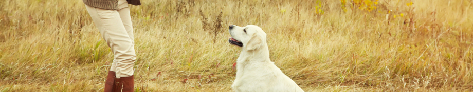 Hundetrainer Daniela Rau